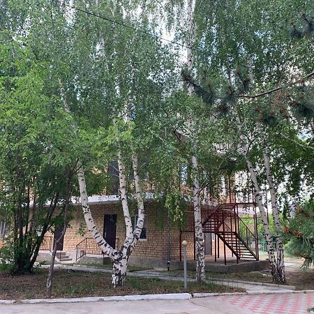 Delfin Murok Bosteri Ngoại thất bức ảnh